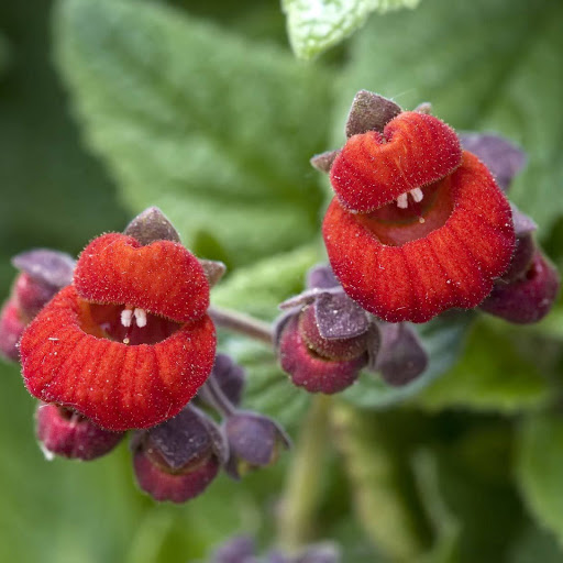 Hd-152401-ascw152401