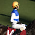 (DA 55-300mm F4-5.8ED)