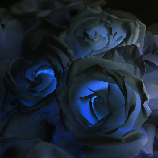 Hd-163634-ascw163634