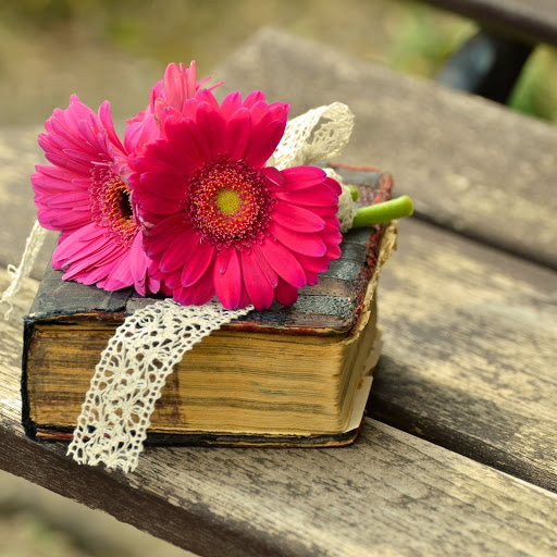 Hd-185810-ascw185810