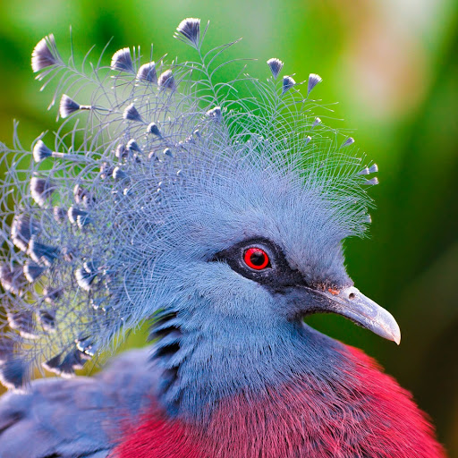 Hd-152821-ascw152821