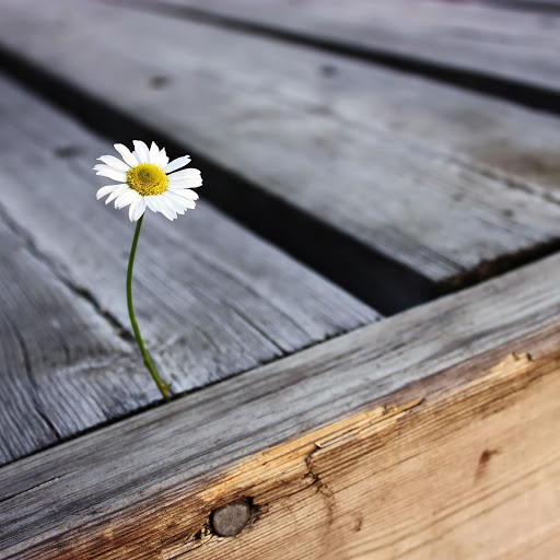 Hd-141617-ascw141617