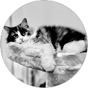 Image Google de Johanna Piette