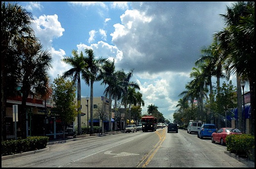 16 - Driving through Royal Palm lined streets of Homestead