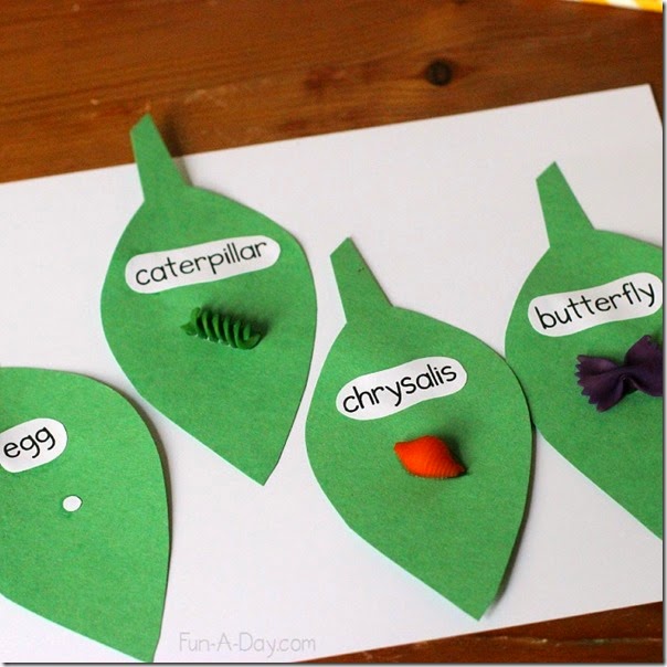 Buttefly Craft for kids - This is such a clever idea for teaching kids about butterfly lifecyles Buttefly Craft for kids - This is such a clever idea for teaching kids about butterfly lifecyles
