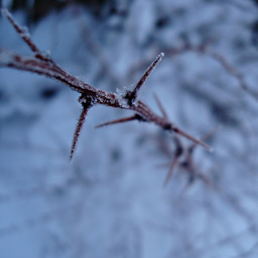 Hd-165237-ascw165237