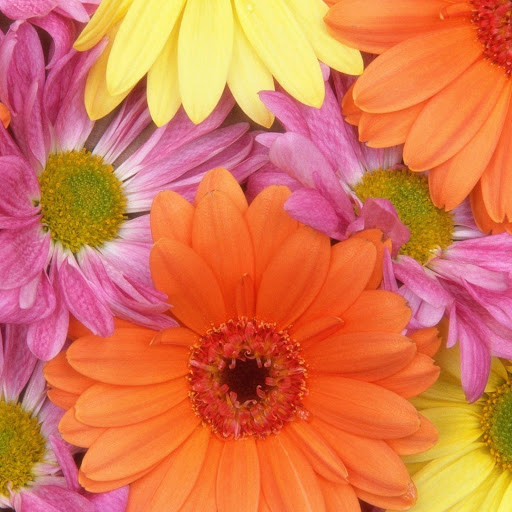 Hd-149242-ascw149242