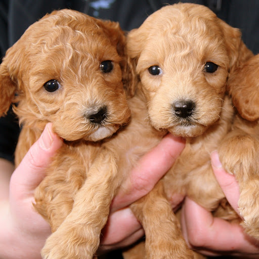 Hd-166362-ascw166362