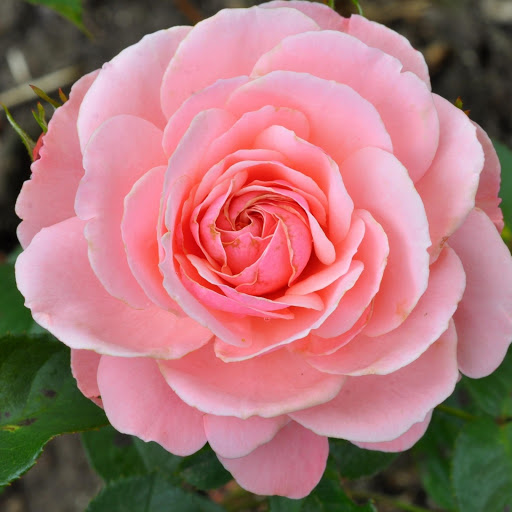 Hd-166791-ascw166791