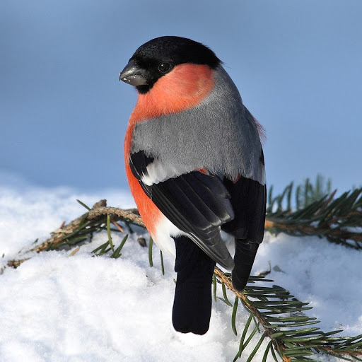 Hd-182506-ascw182506