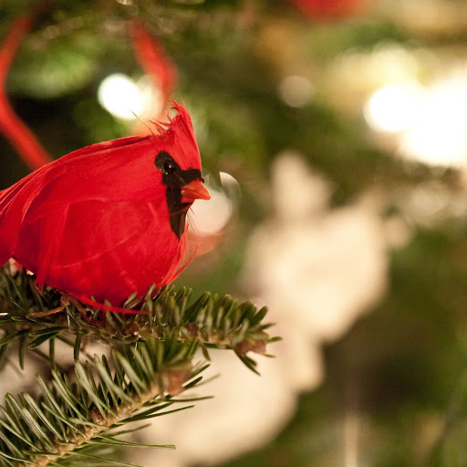 Hd-142448-ascw142448