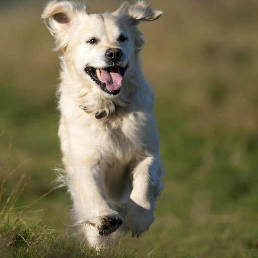 Hd-175909-ascw175909