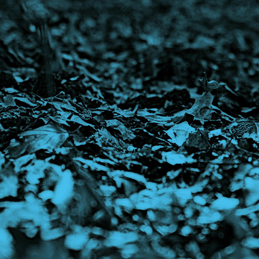 Hd-149571-ascw149571