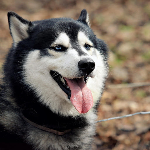 Hd-174828-ascw174828