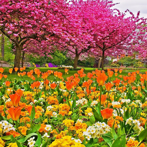 Hd-149154-ascw149154