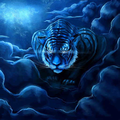 Hd-130954-ascw130954