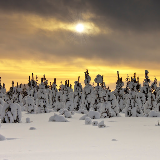 Hd-171884-ascw171884