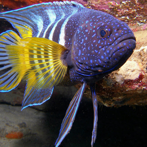 Hd-143967-ascw143967