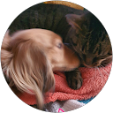 Image Google de Nathalie Leonardis