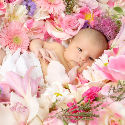 Hd-137381-ascw137381