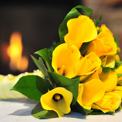 Hd-151445-ascw151445