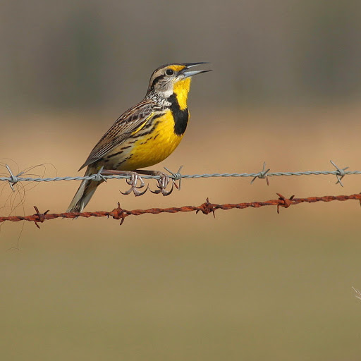 Hd-178916-ascw178916