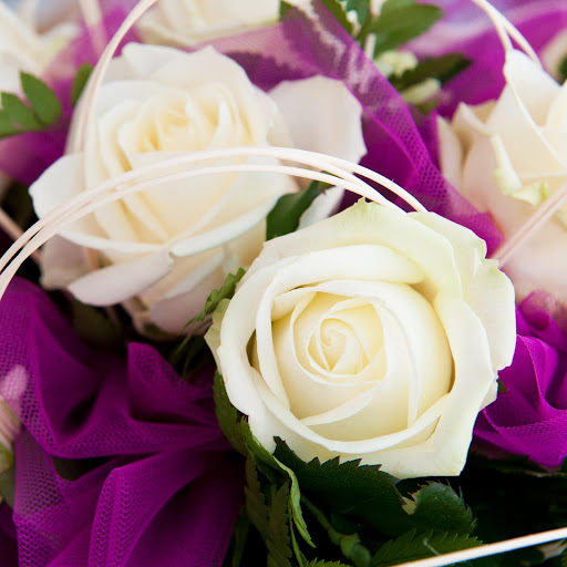 Hd-177485-ascw177485