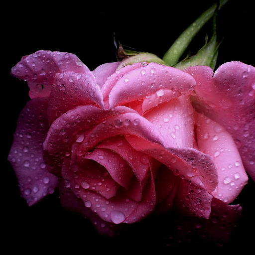 Hd-171886-ascw171886