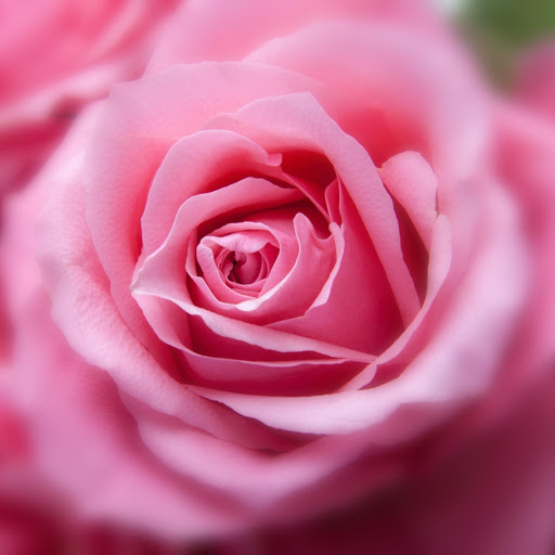 Hd-190846-ascw190846