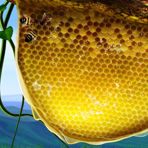 Hd-161788-ascw161788