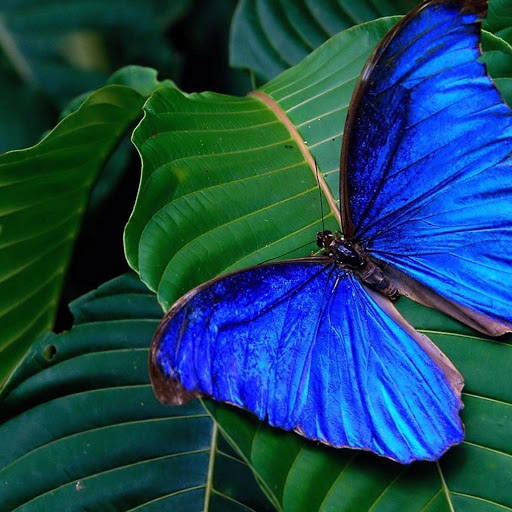 Hd-168266-ascw168266