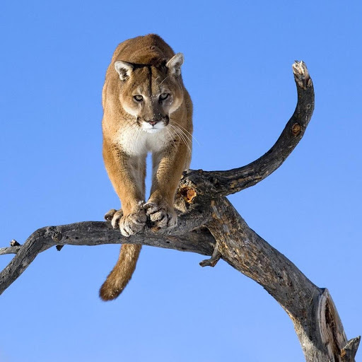 Hd-176485-ascw176485