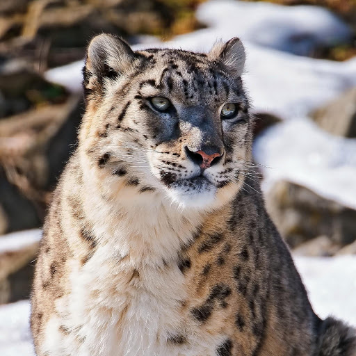 Hd-180356-ascw180356