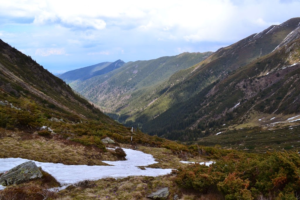 [DSC_91253.jpg]