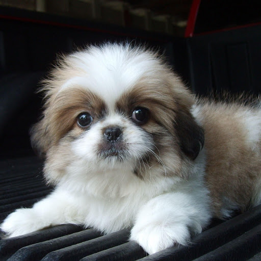 Hd-149971-ascw149971