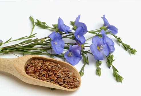 [photolibrary_rm_photo_of_flax_seeds_and_flowers%255B4%255D.jpg]