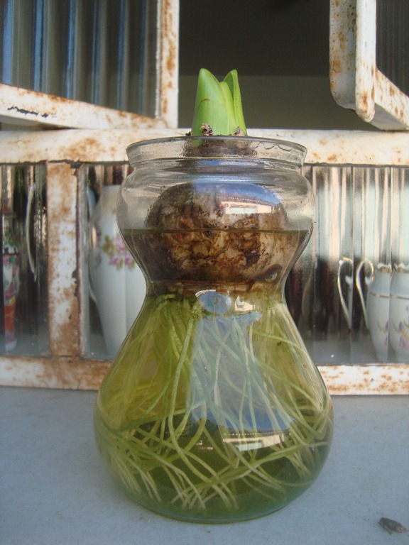 [DSC08489%255B3%255D.jpg]