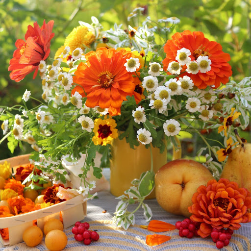 Hd-156384-ascw156384