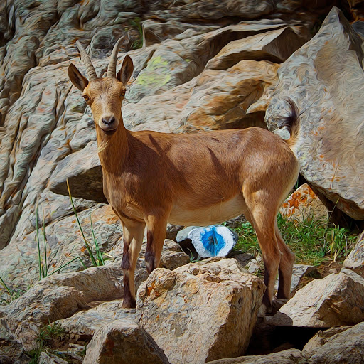 Hd-162623-ascw162623