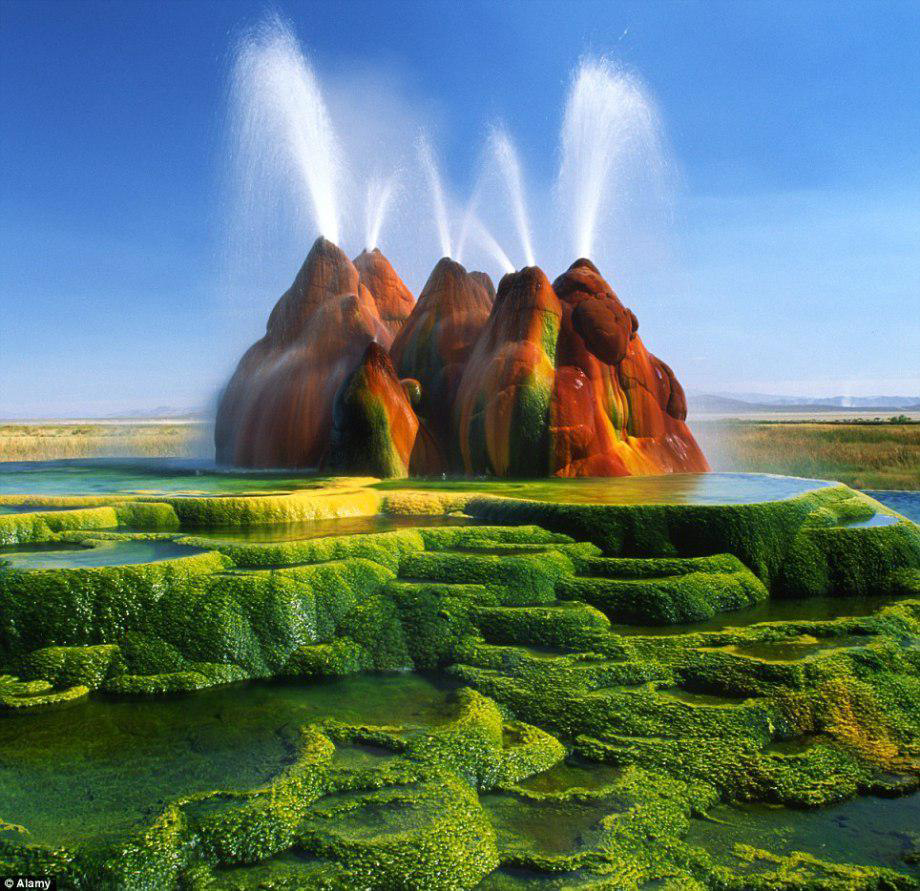 My Image 43