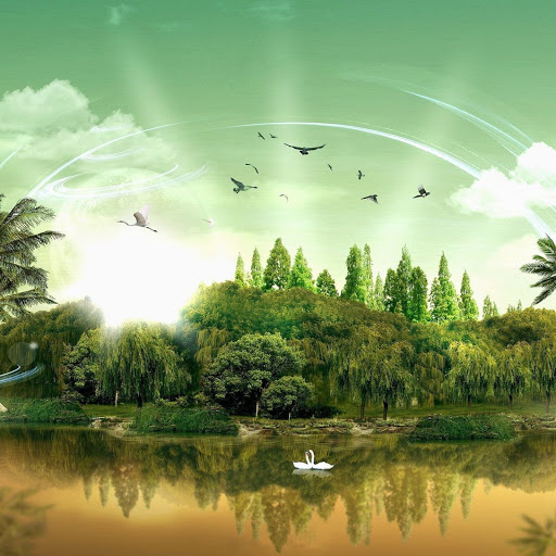 Hd-175324-ascw175324