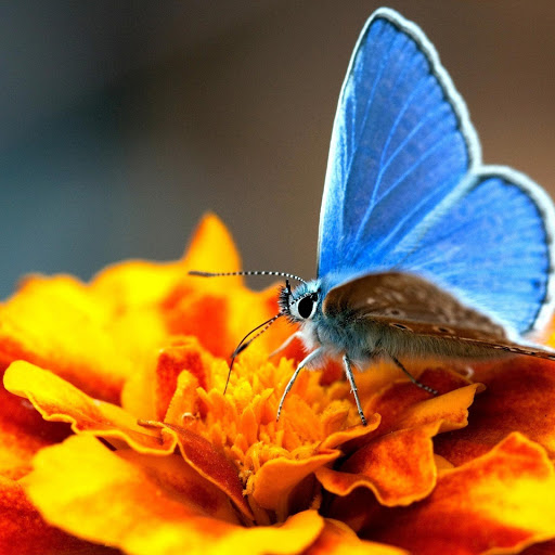 Hd-145438-ascw145438