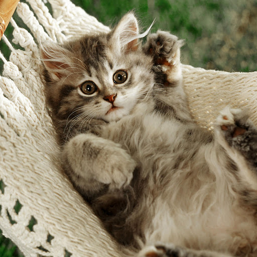 Hd-144130-ascw144130