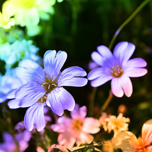 Hd-175238-ascw175238