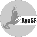 Image Google de Ayanami S.F.