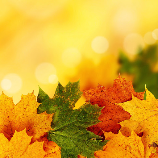 Hd-171196-ascw171196