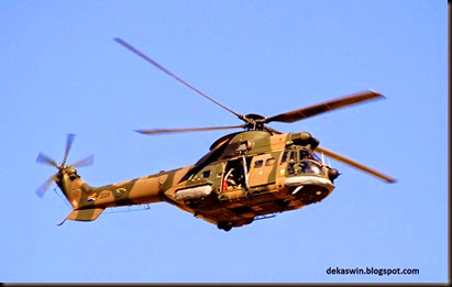 puma_helicopter_IMG_3385-722695