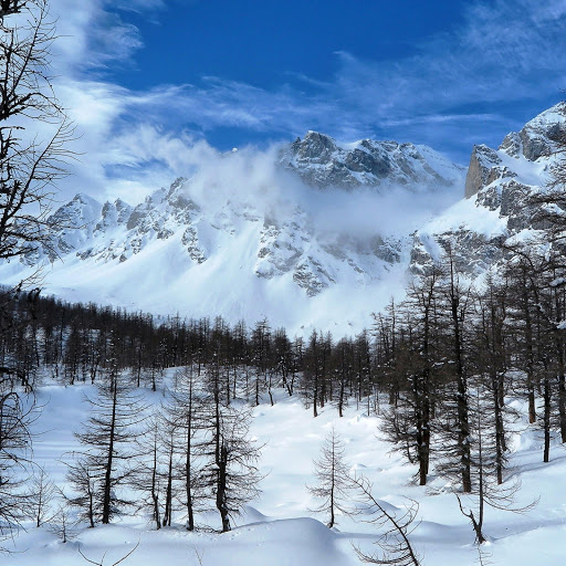 Hd-150446-ascw150446