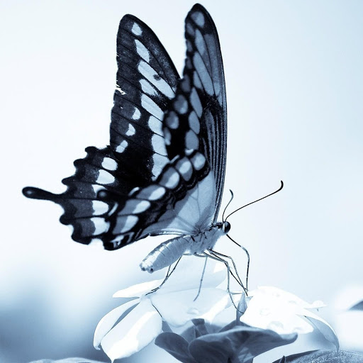 Hd-148153-ascw148153