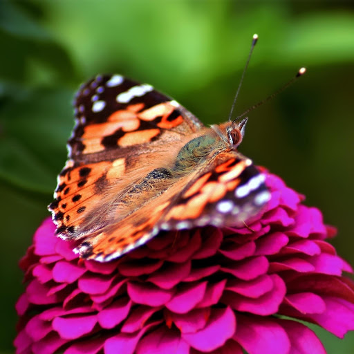 Hd-171277-ascw171277